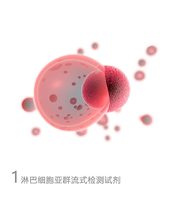 淋巴细胞亚群流式检测试剂